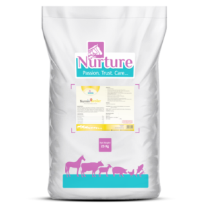 Nurmin Broiler