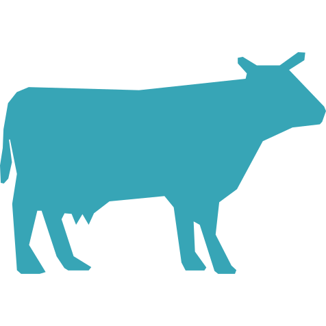 Ruminants