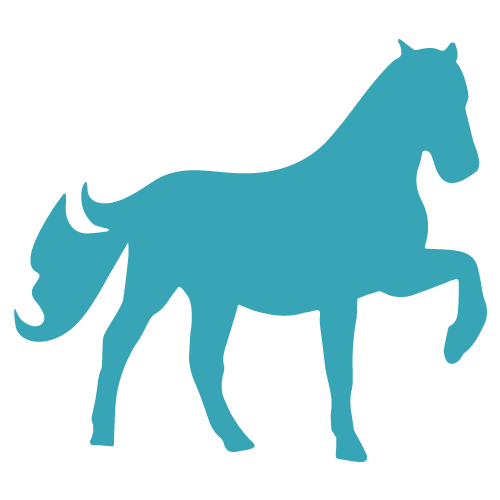 Equine