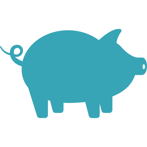 Swine