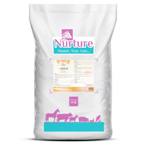 Act Antiflam Powder