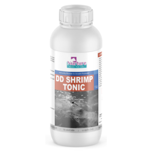 DD Shrimp Tonic