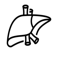 Liver & Renal Care