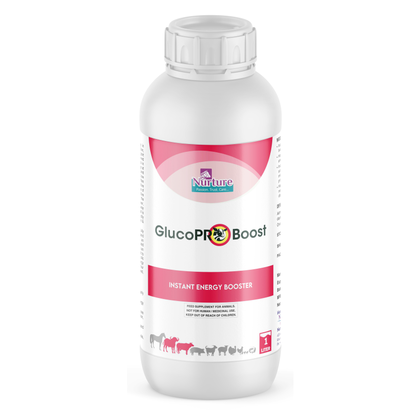 GlucoPro Boost