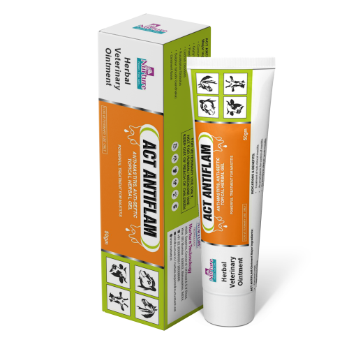 Act Antiflam Ointment