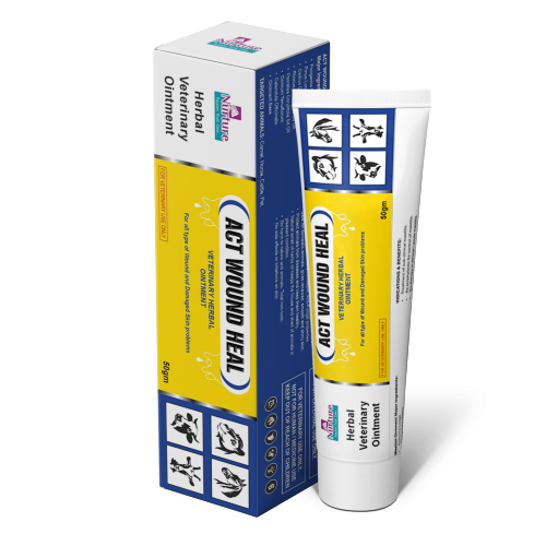 Act Wound Heal Ointment